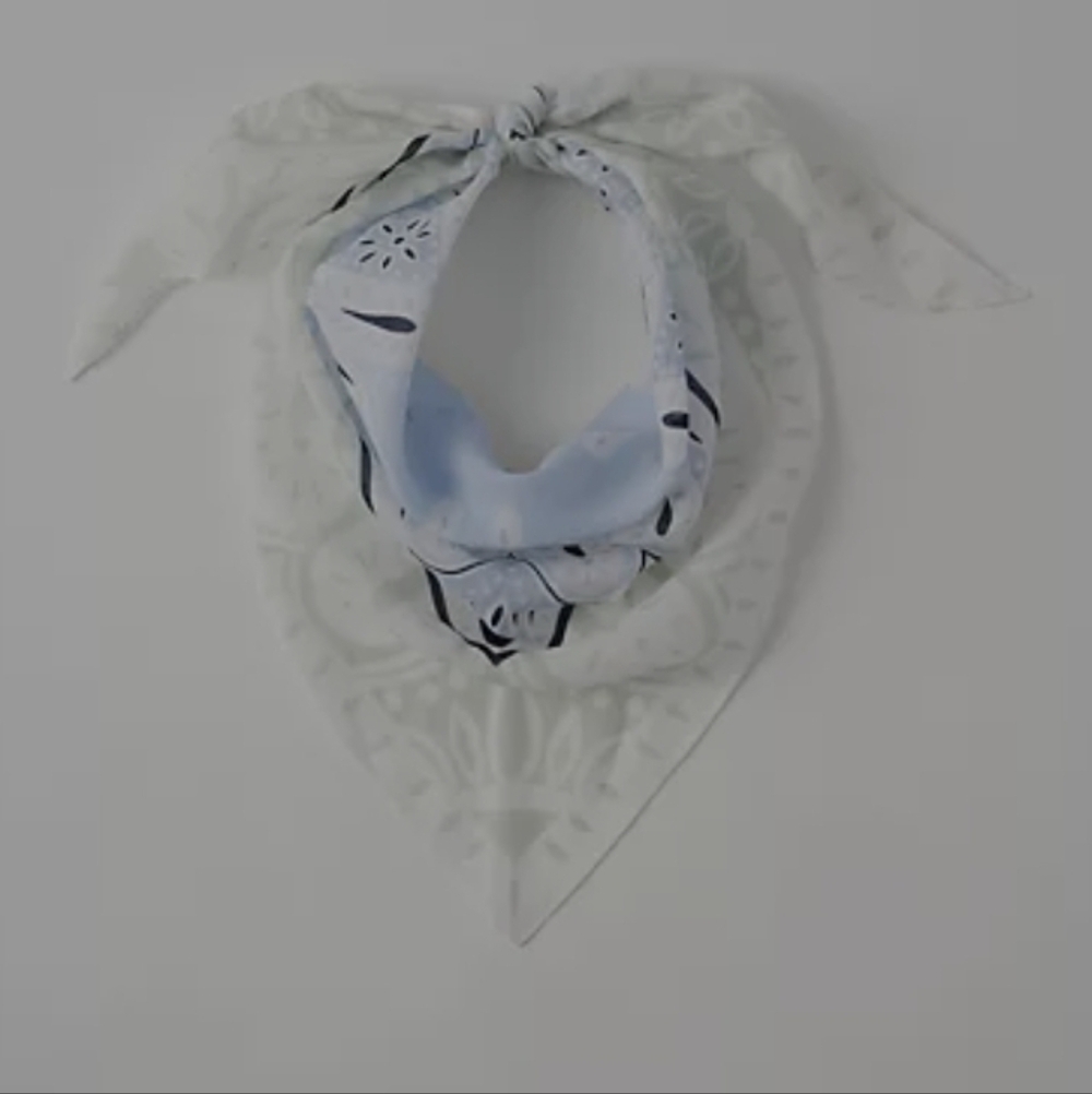 Ann Taylor Adelmo Paisley Winter White and Blue SILK Scarf New In Bag - Picture 1 of 3